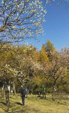 a0108328_20520885.jpg