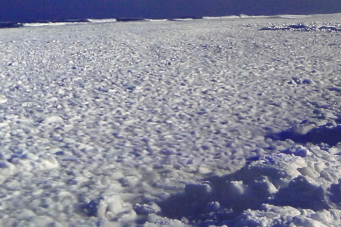 d0106628_09585634.jpg