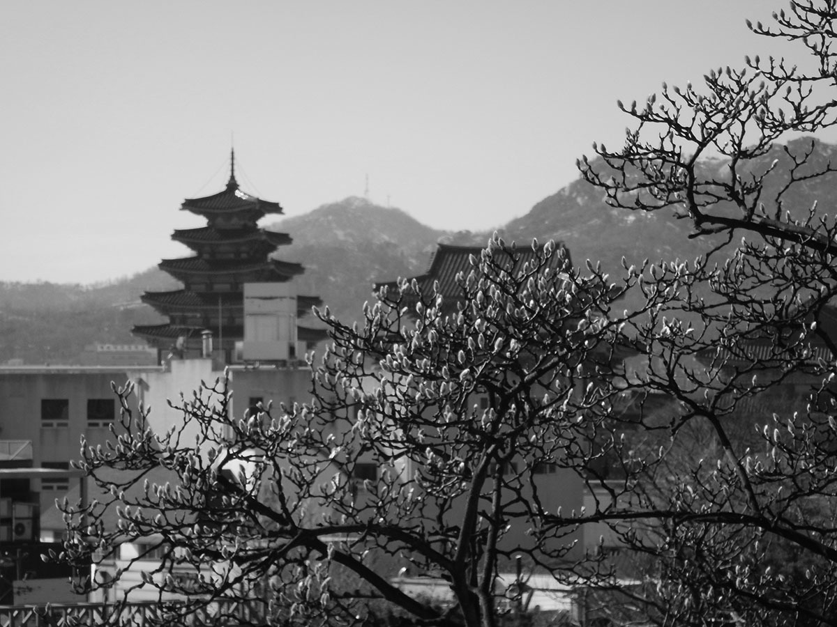 c0211429_11064866.jpg