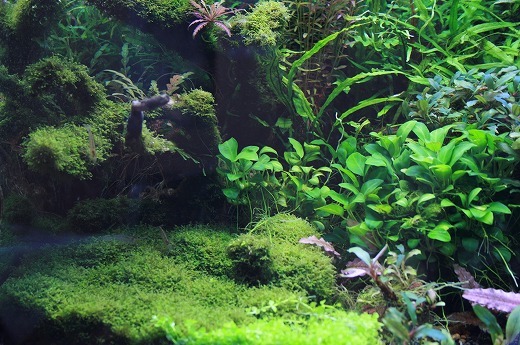 f0363529_09343492.jpg