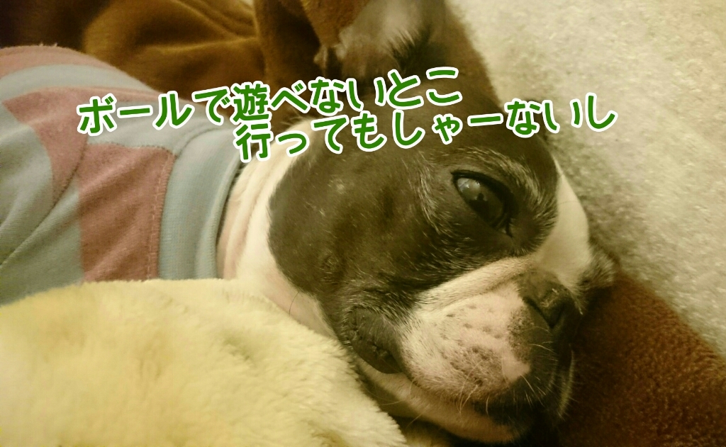 c0209932_22565047.jpg