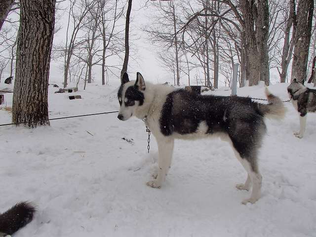 c0191646_140169.jpg
