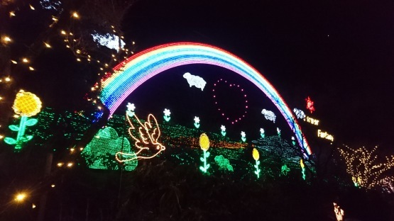d0347253_09031915.jpg