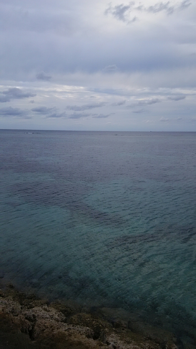 d0254257_18351958.jpg