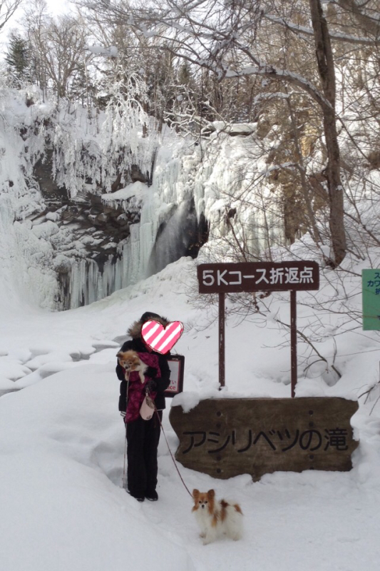 b0122262_21470930.jpg