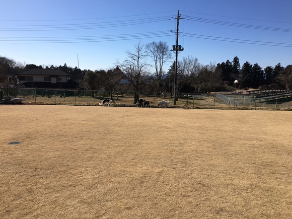c0260264_17304320.jpg