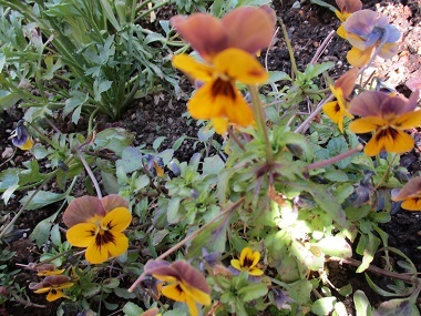 a0053480_16335456.jpg