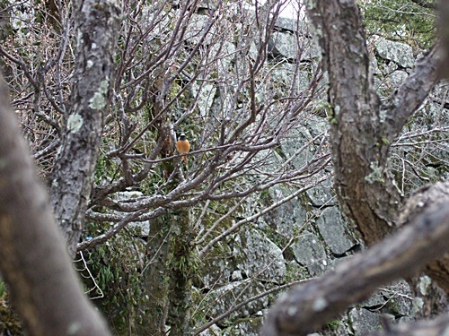 e0086885_18194966.jpg