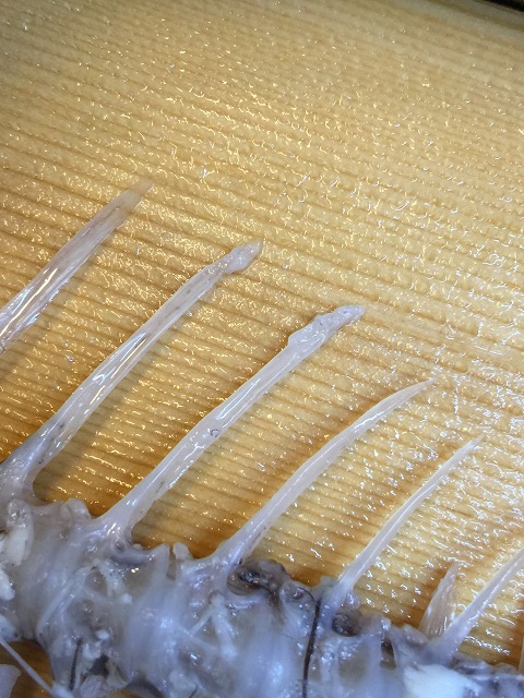 d0268290_13291028.jpg