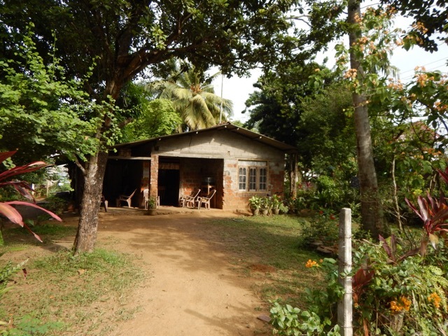b0195093_15404189.jpg