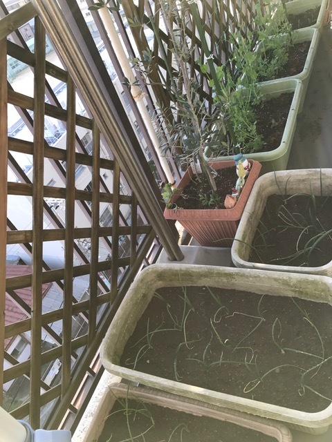 f0204295_19394012.jpg