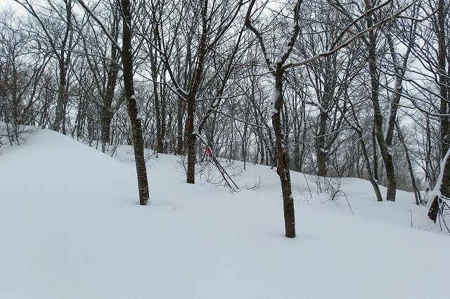 e0137200_18264954.jpg
