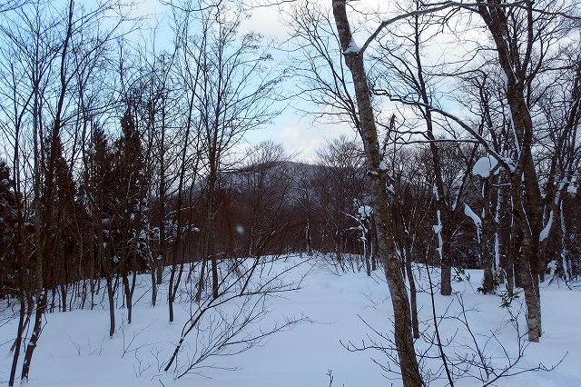 e0137200_18285340.jpg