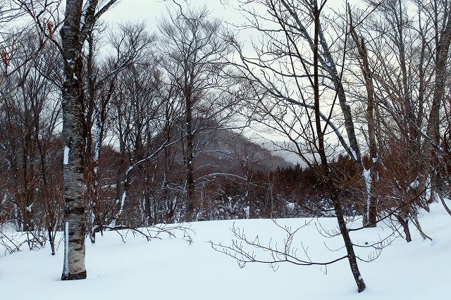e0137200_18291312.jpg