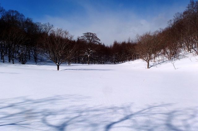 e0137200_18305077.jpg