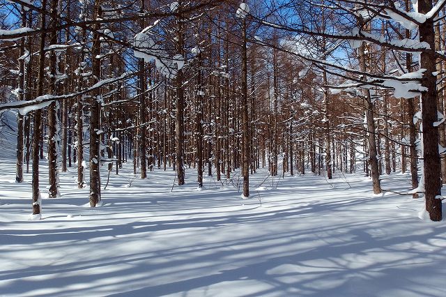 e0137200_18311166.jpg