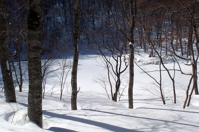 e0137200_18314566.jpg