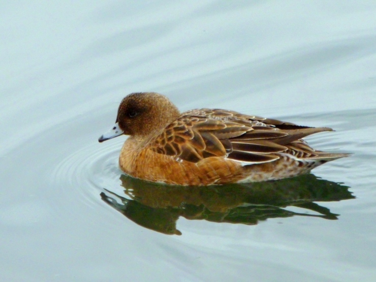 f0361605_21172011.jpg
