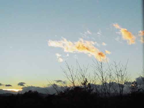 e0001110_92806.jpg