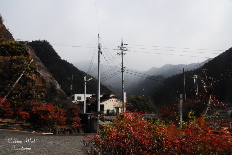 b0223512_13245452.jpg
