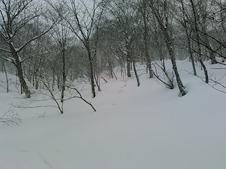 c0359615_20433890.jpg