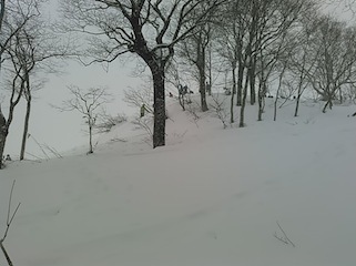 c0359615_20440275.jpg
