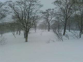 c0359615_20441331.jpg