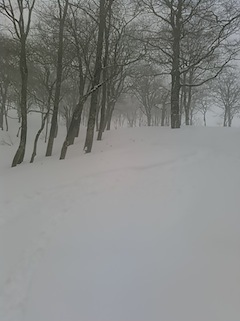 c0359615_20442503.jpg