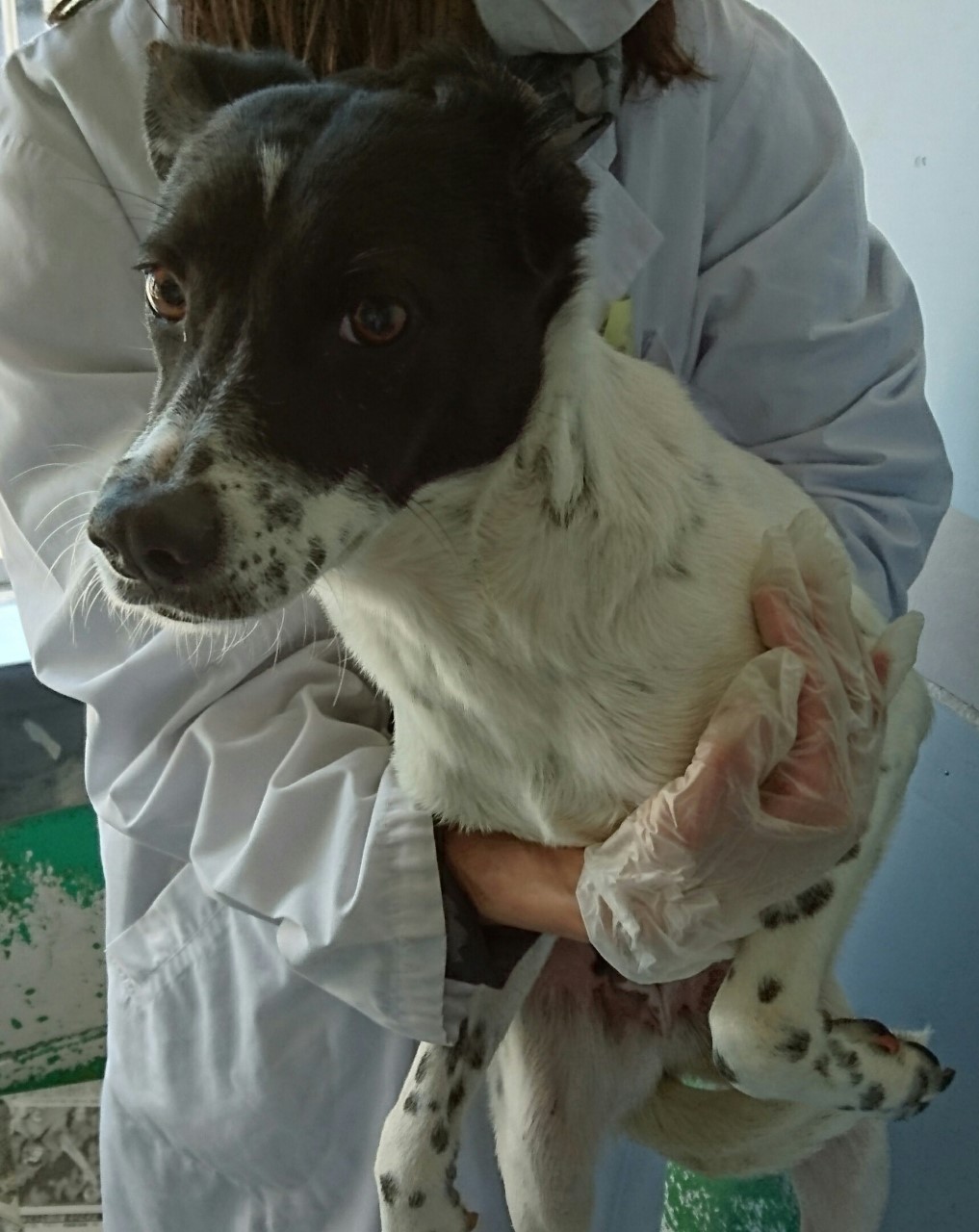 f0078320_14492885.jpg