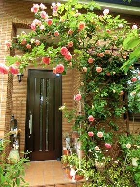 c0204121_21300813.jpg