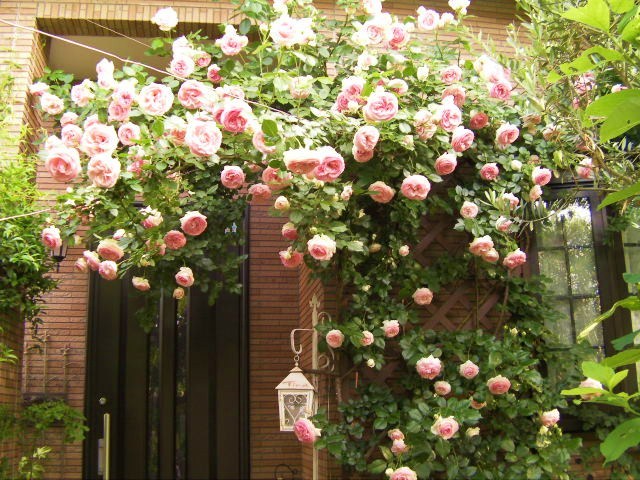 c0204121_21394914.jpg