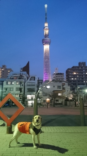 b0339522_09354958.jpg