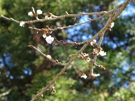 f0213825_1232693.jpg