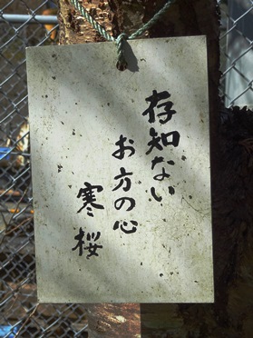 f0213825_1235931.jpg