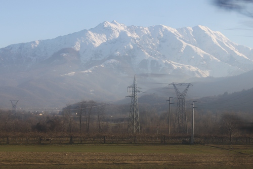 a0163227_1524224.jpg