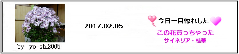 e0033229_17213170.jpg