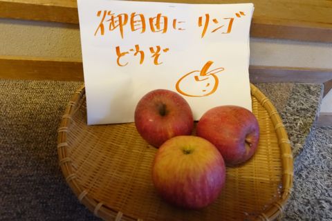 b0042334_13424898.jpg