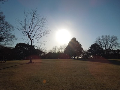 a0163738_0243130.jpg