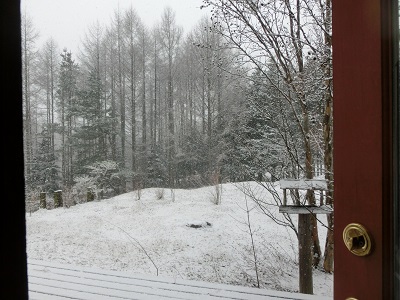 f0019247_1226375.jpg