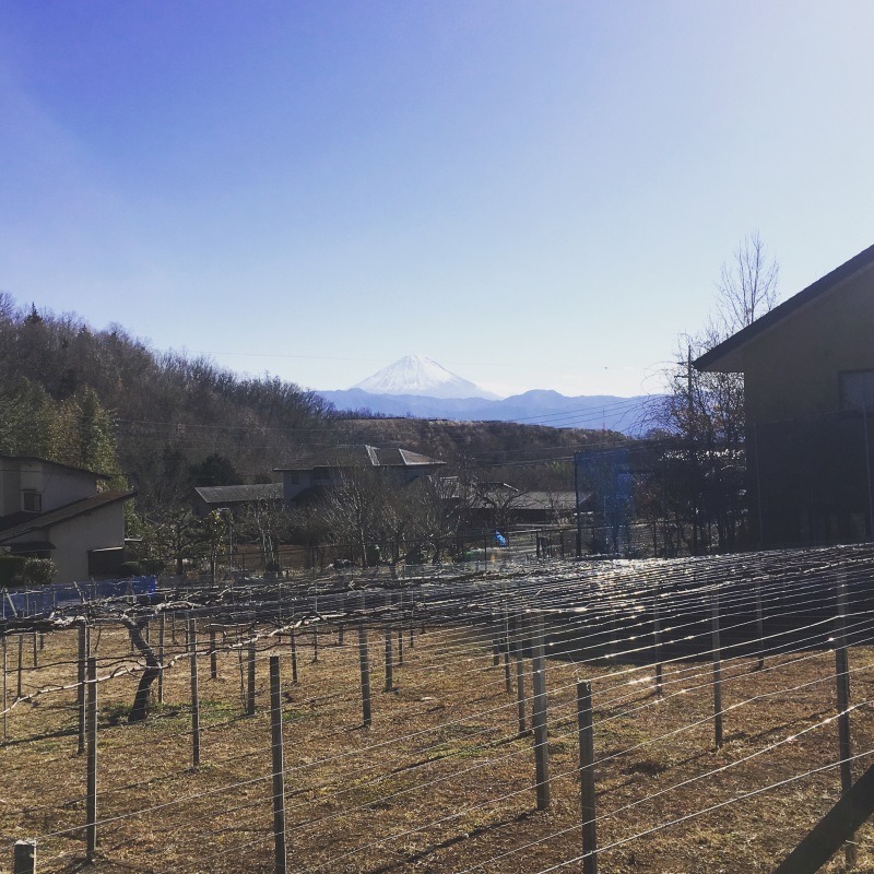 a0326649_15161486.jpeg
