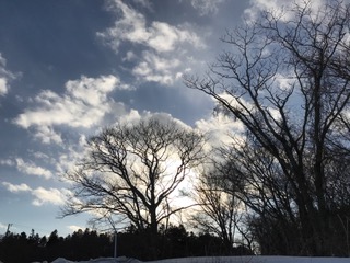 c0025352_21121575.jpg