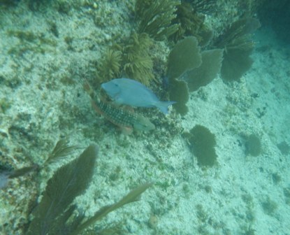 b0173754_04164394.jpg