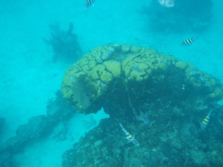 b0173754_04165393.jpg