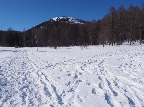 b0335256_22271536.jpg