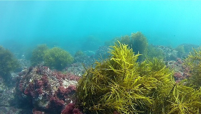 b0075059_10374432.jpg