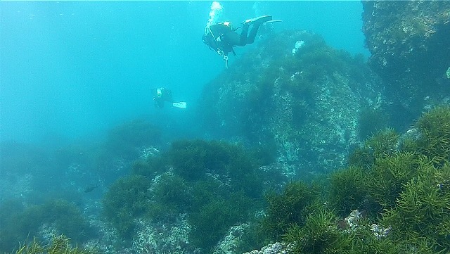 b0075059_10375522.jpg