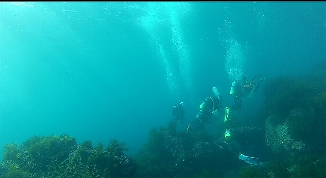 b0075059_10381057.jpg