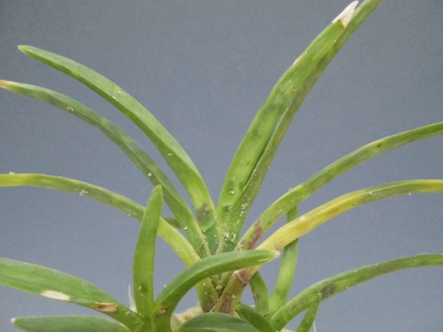 f0318967_23063108.jpg