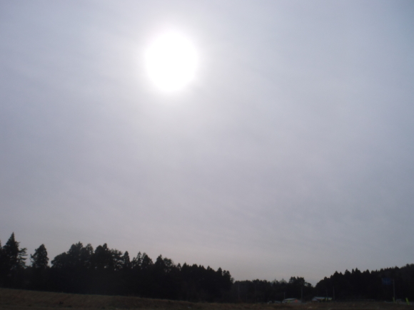 c0325468_17563846.jpg