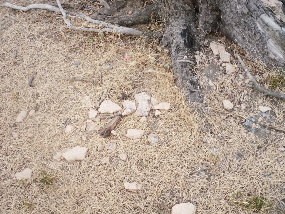 c0325468_18011394.jpg